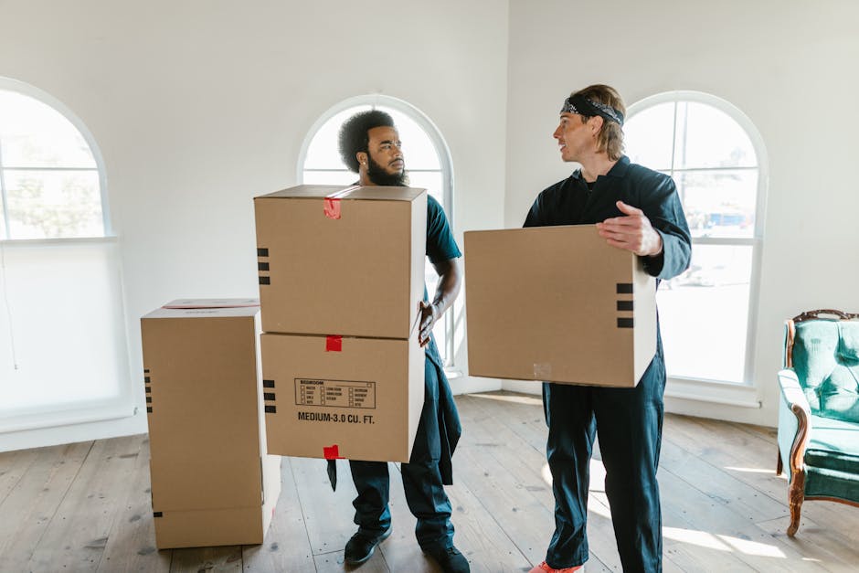 Two movers from Man with Van East Barnet are inside a well-lit room with two arched windows, preparing for home relocation. One mover, with curly black hair and a beard, is lifting a medium-sized card
